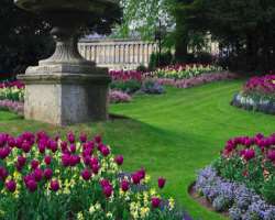 The beauty of the Royal Victoria Park situated in the city should not be left undefined while visiting Bath. It was founded in 1830 by Princess Victor